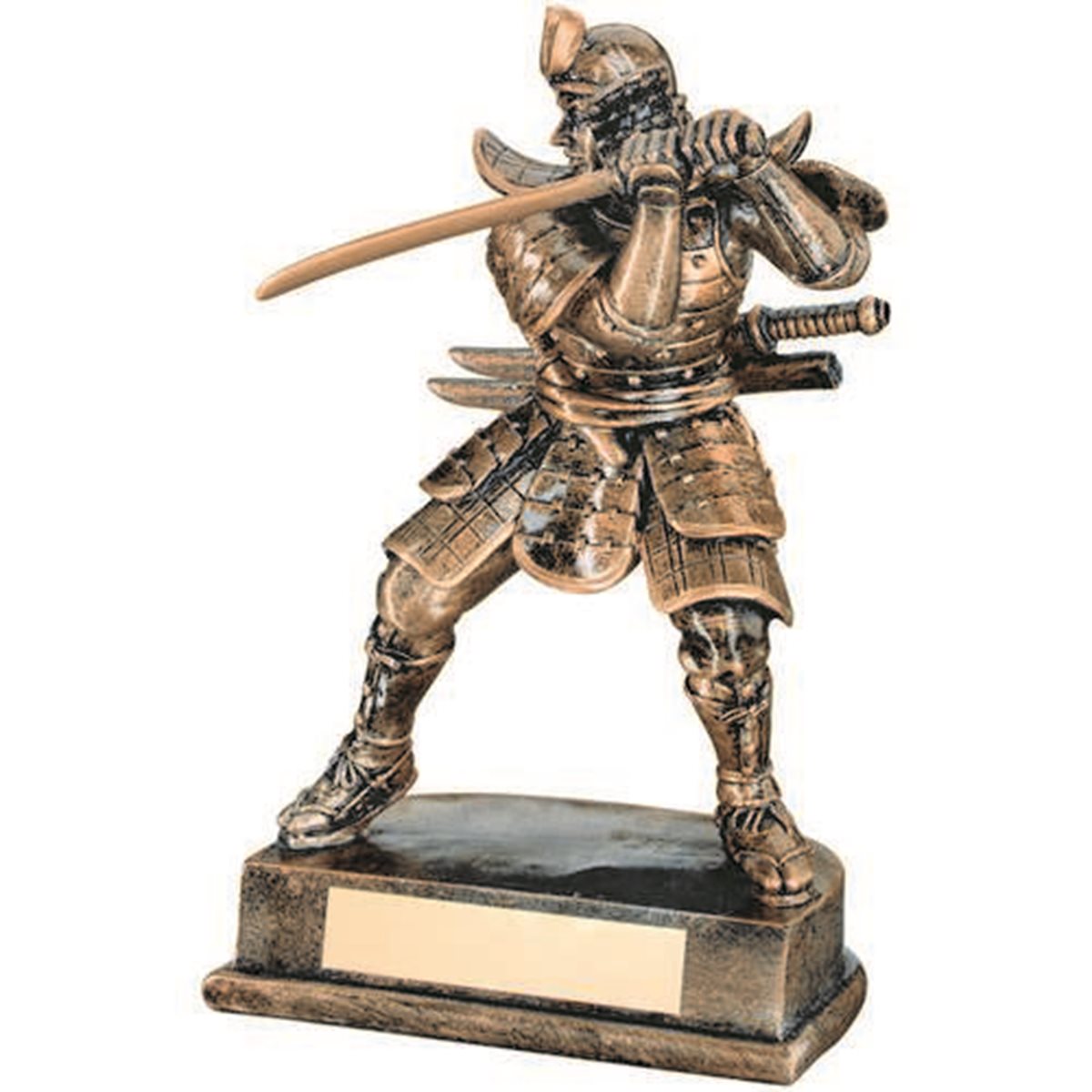 Martial Arts Resin Award JR11-RF31