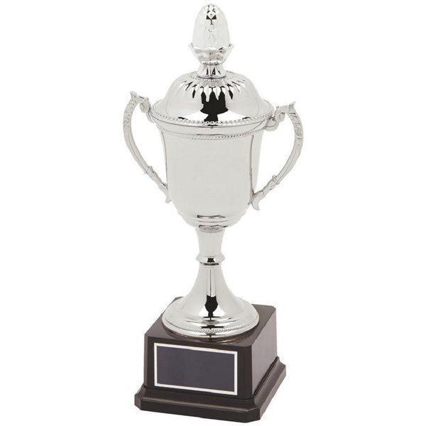 Silver Nickel Plated Cup on Black Base with Lid SV846