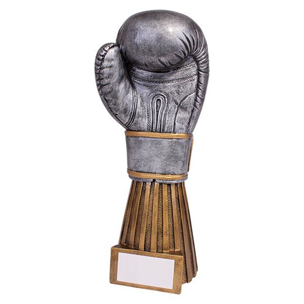 Gold and Silver Resin Boxing Glove Trophy RF19137