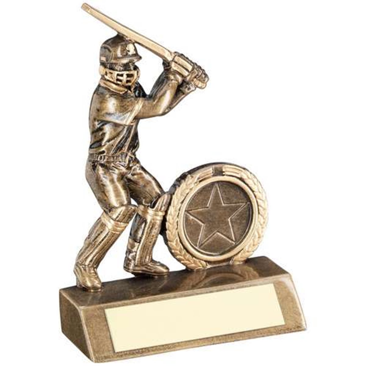 Resin Male Cricket Batsman Award JR6-RF40