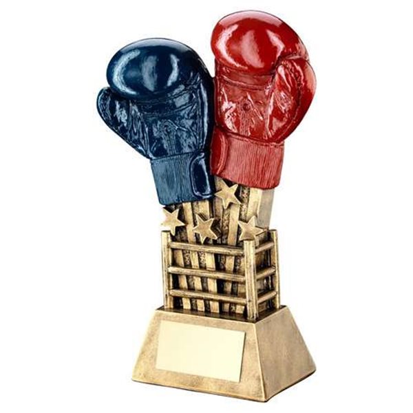 Boxing Glove Resin Award JR10-RF640