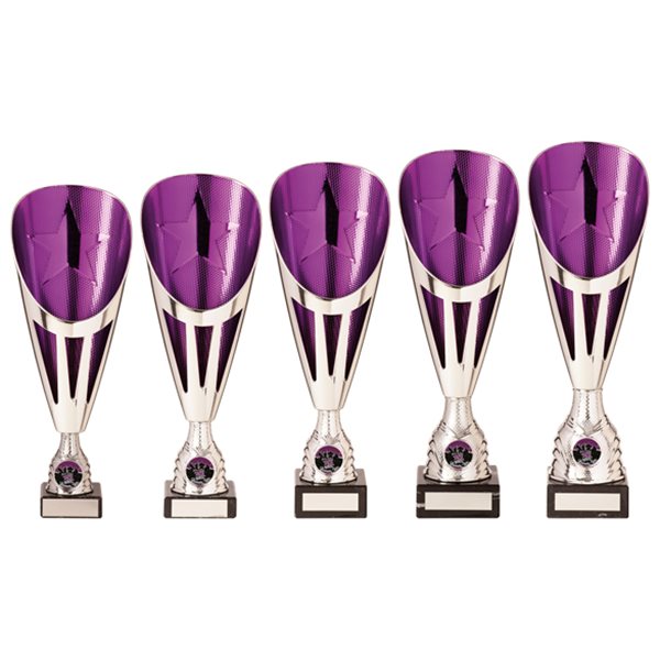 Purple & Silver Premium Plastic Award on Marble Base TR20536