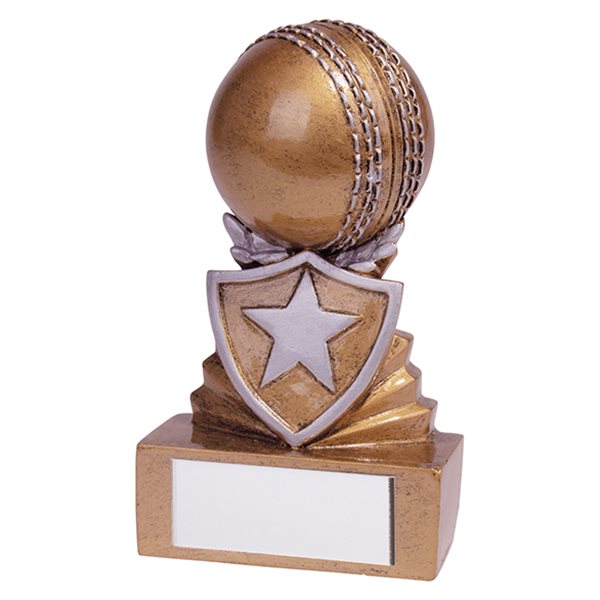 Mini Shield Cricket Trophy RF19100