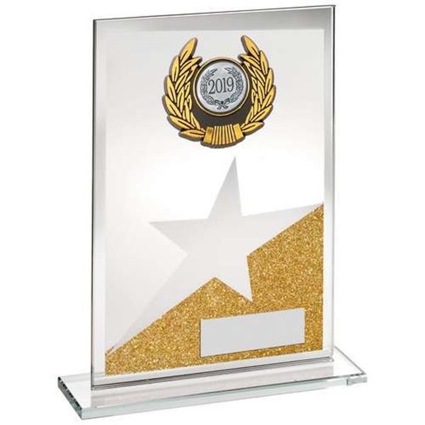 Gold Glitter Glass Star Award TY125