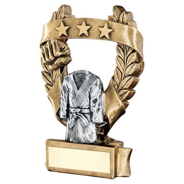 Martial Arts Resin Award JR11-RF491