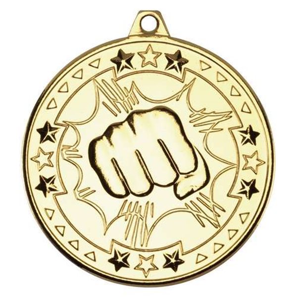 Martial Arts 50mm Medal in Gold, Silver & Bronze M74