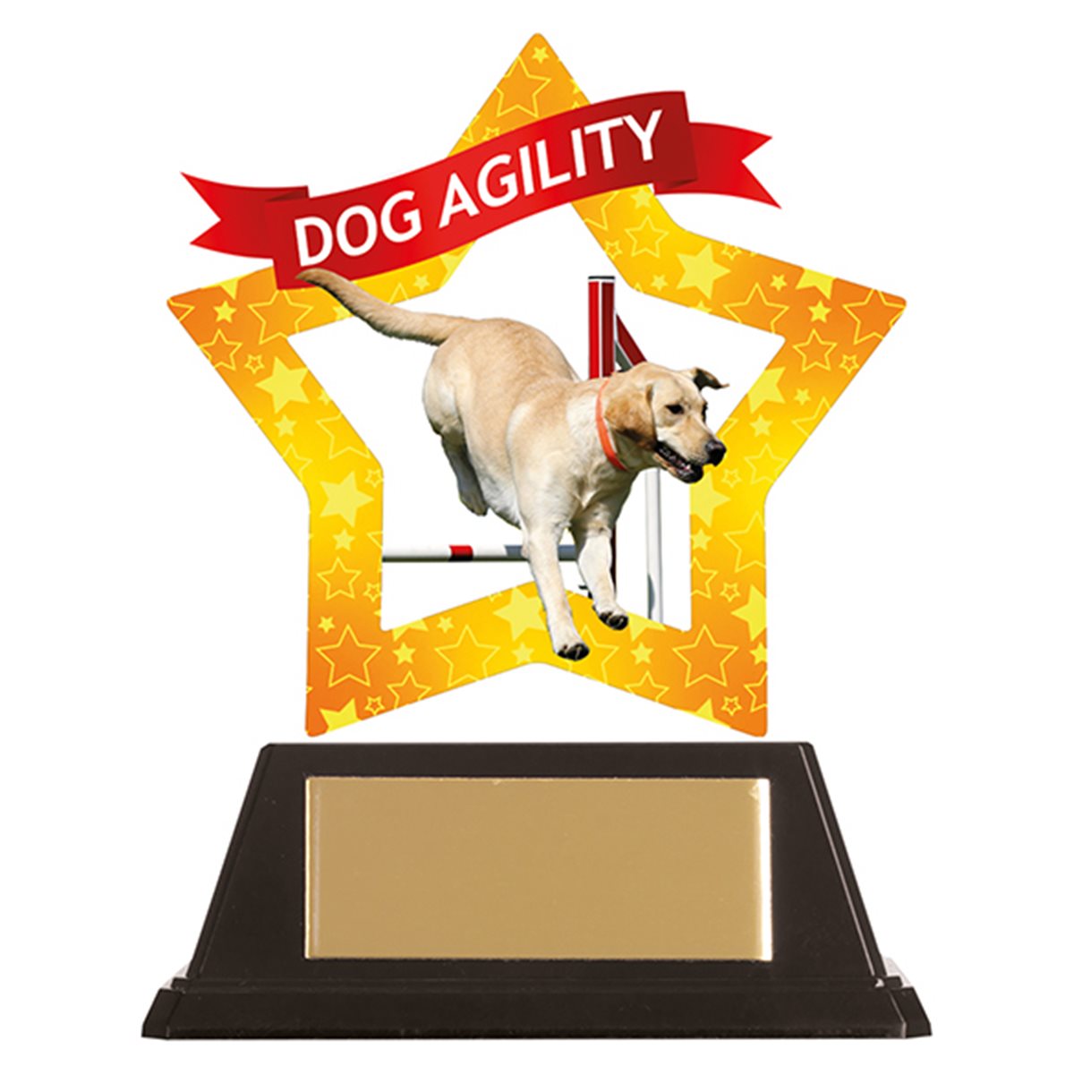 Mini Star Acrylic Dog Agility Trophy AC19652A