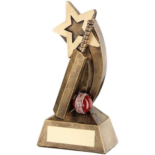Resin Cricket Award TD.RF336