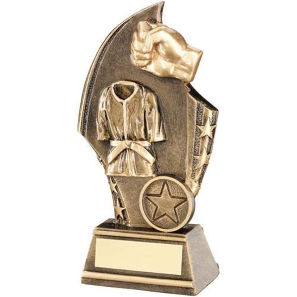 Martial Arts Resin Award JR11.RF665