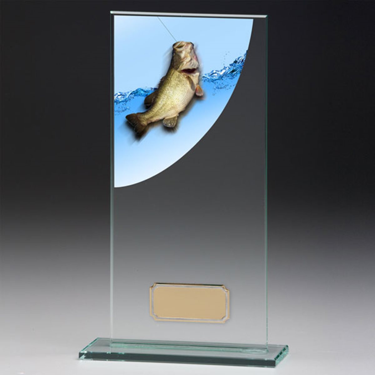 Fishing Glass Award CR4644